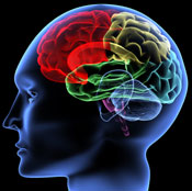 Let our Austin brain injury lawyers protect your rights